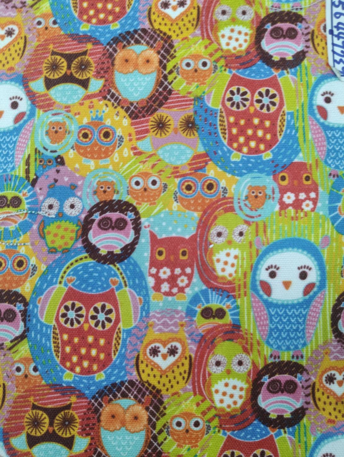  Colorful Forest  picture