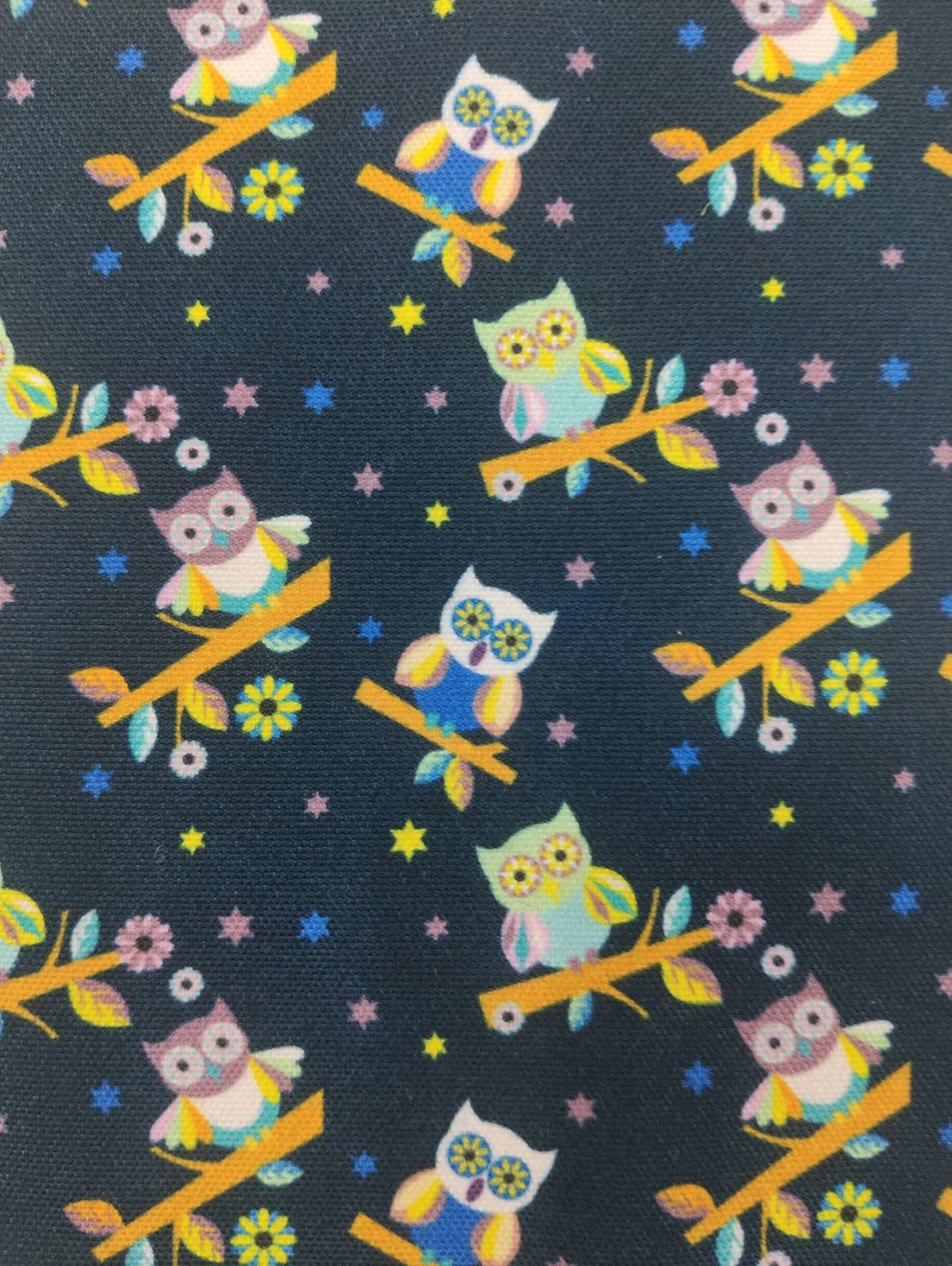 Starry Eyes   owl  picture 